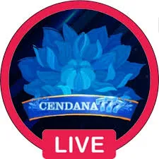 CENDANA777 - Aplikasi Cek Mutasi Keuangan Terpercaya